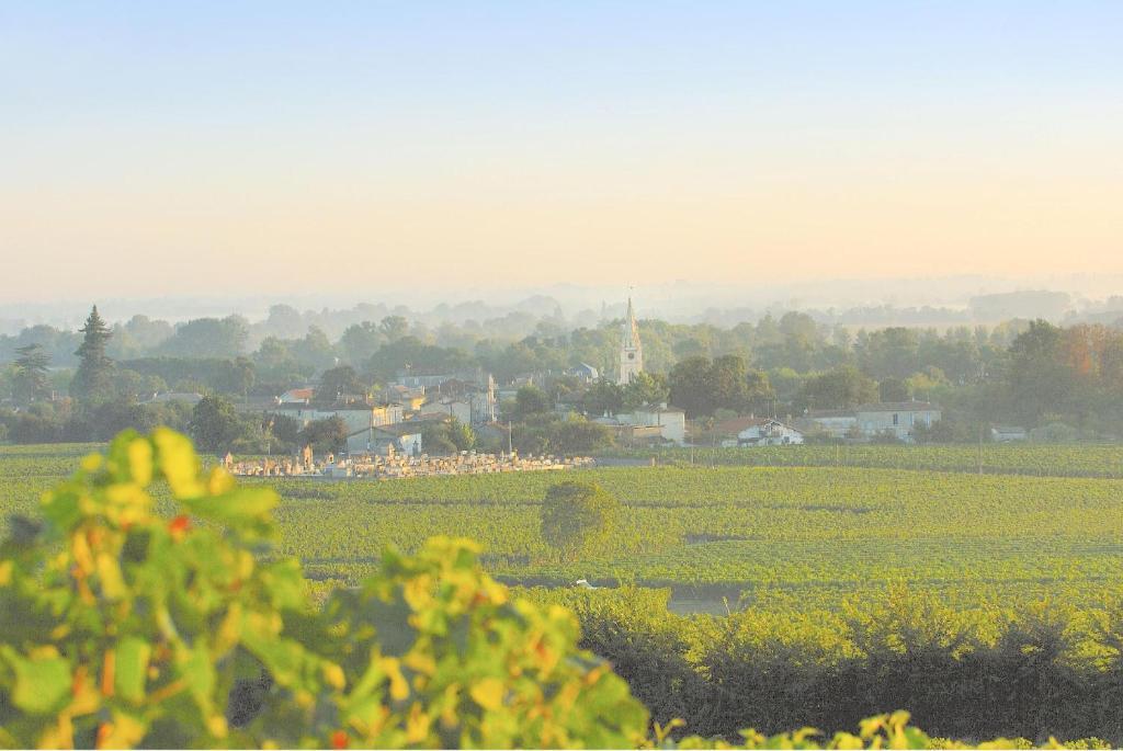 Chateau La Mothe Du Barry Moulon-sur-Dordogne Ngoại thất bức ảnh