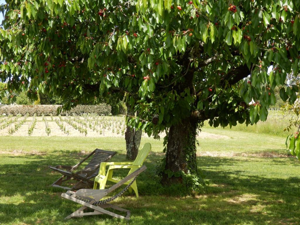 Chateau La Mothe Du Barry Moulon-sur-Dordogne Ngoại thất bức ảnh